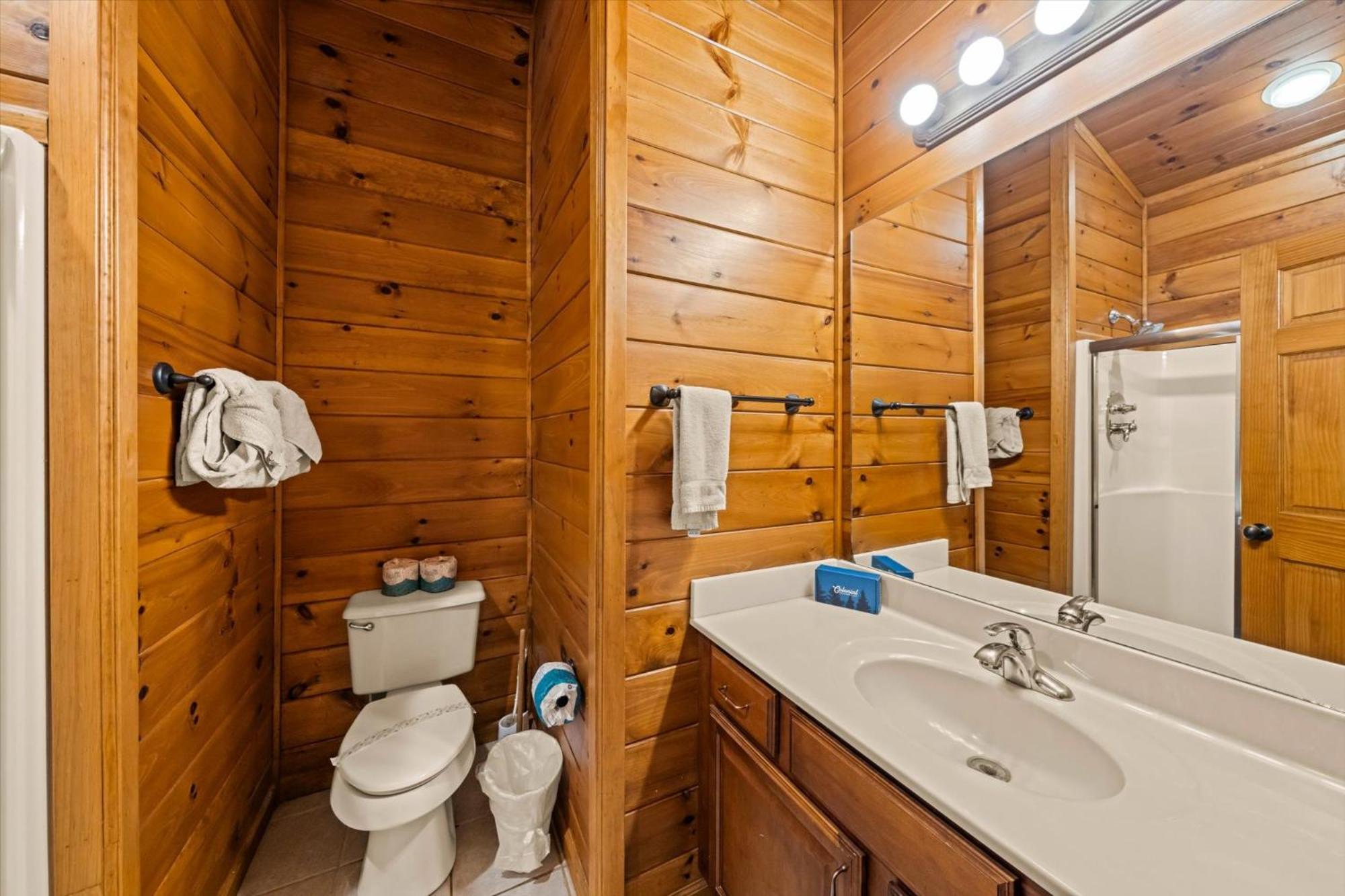 Lookout Lodge ガトリンバーグ エクステリア 写真
